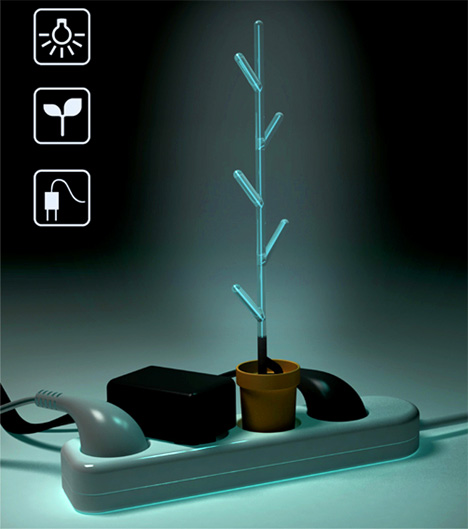 Imagine an Illuminated Forest